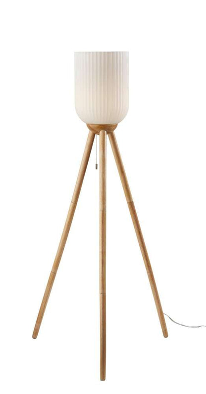 Adesso Home - Kinsley Floor Lamp - 1630-12 view 1