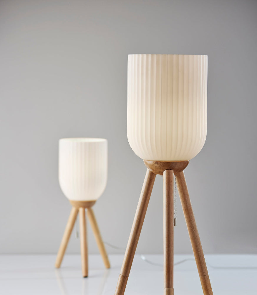 Adesso Home - Kinsley Floor Lamp - 1630-12 view 4
