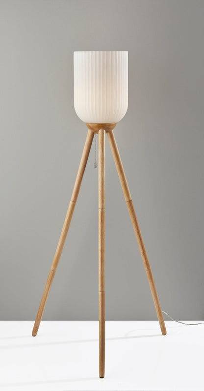 Adesso Home - Kinsley Floor Lamp - 1630-12 view 5
