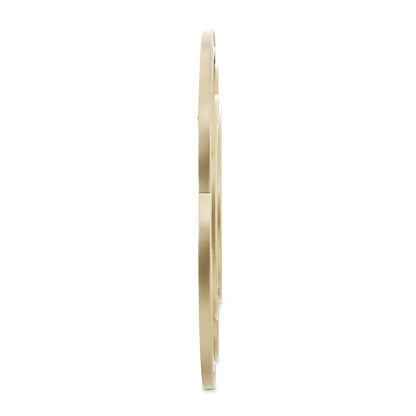 AICO by Michael Amini - Camellia Field Wall Mirror - Antique Gold - 9090260-811 veiw 4