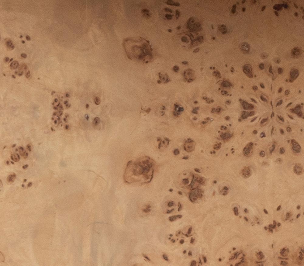 Alder & Tweed - Stowe Popular Burl Veneers, Modern Luxury Design 39.5in Square Coffee Table - AT9364-TSB veiw 5