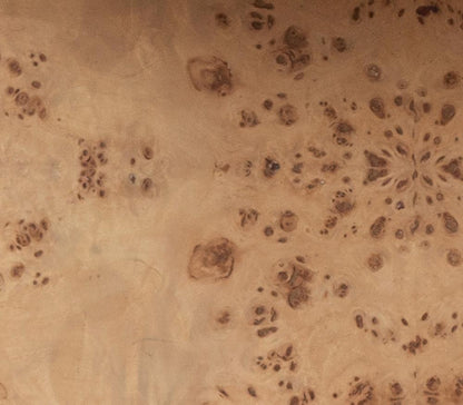 Alder & Tweed - Stowe Popular Burl Veneers, Modern Luxury Design 39.5in Square Coffee Table - AT9364-TSB veiw 5