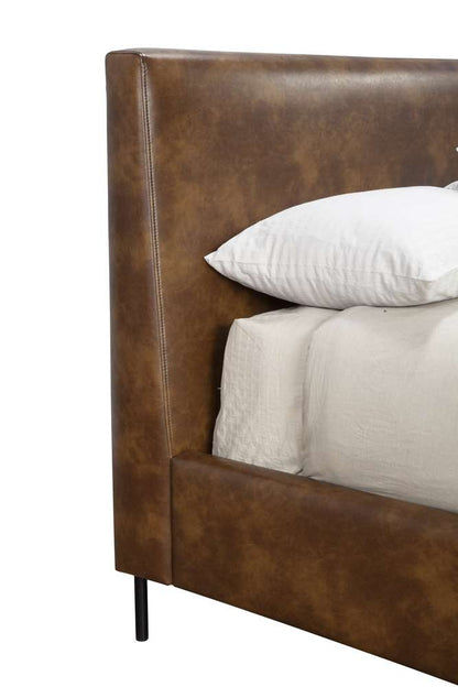 Alpine Furniture - Sophia Queen Faux Leather Platform Bed, Brown - 6902Q-BRN veiw 6