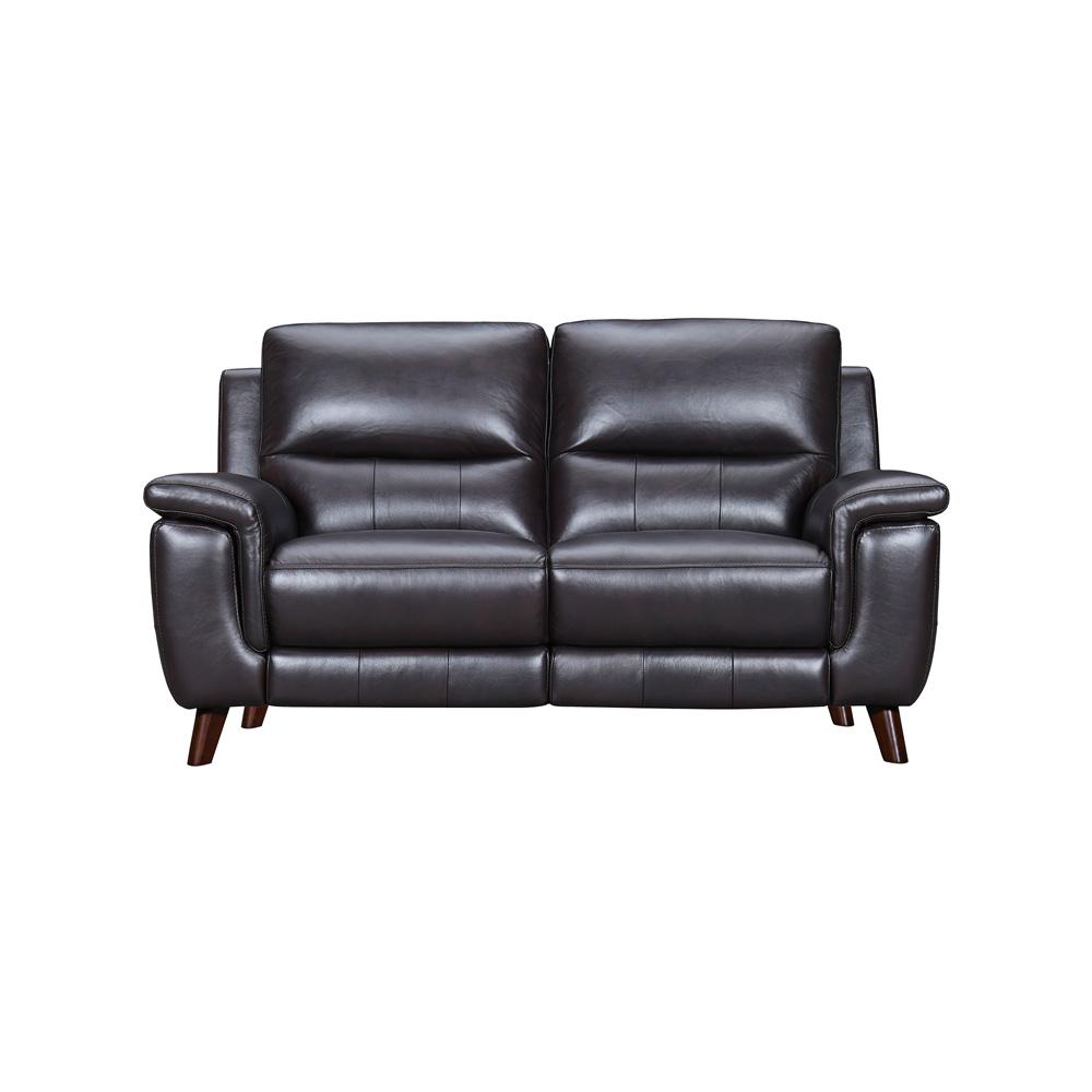 Armen Living - Lizette 65in Brown Leather Power Recliner Loveseat with USB - LCLZ2BR veiw 1