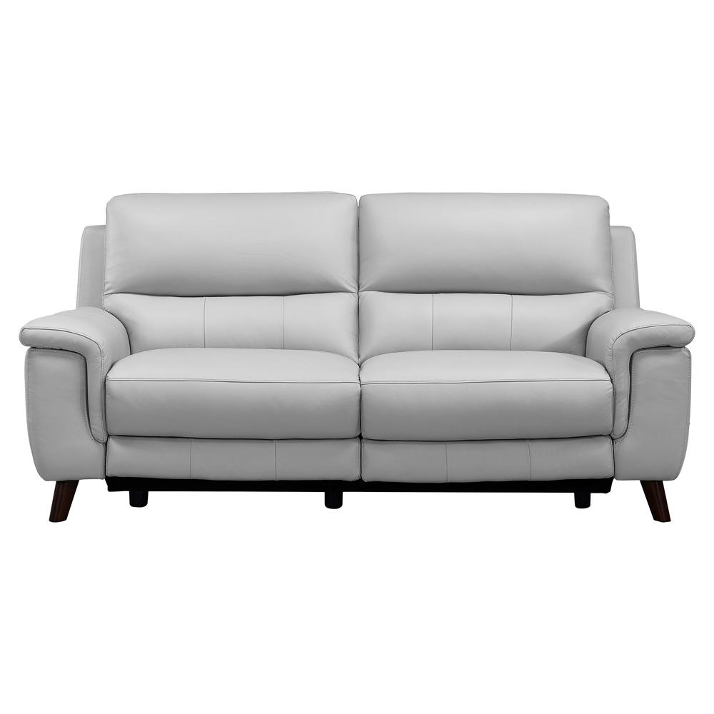 Armen Living - Lizette Contemporary Sofa in Dark Brown Wood Finish and Dove Gray Genuine Leather - LCLZ3DV veiw 1