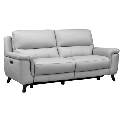 Armen Living - Lizette Contemporary Sofa in Dark Brown Wood Finish and Dove Gray Genuine Leather - LCLZ3DV veiw 2