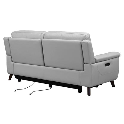 Armen Living - Lizette Contemporary Sofa in Dark Brown Wood Finish and Dove Gray Genuine Leather - LCLZ3DV veiw 4