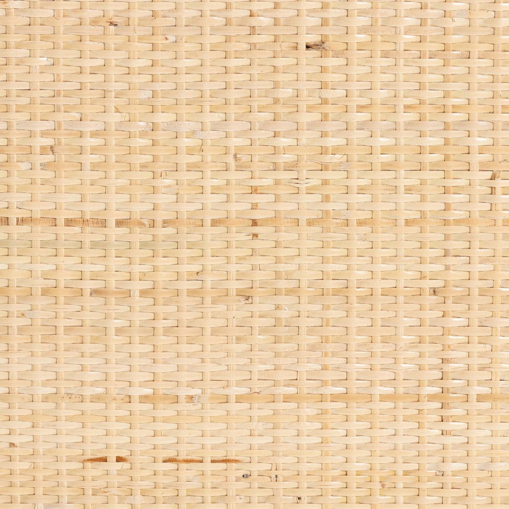 bali & pari - Acelin Storage Cabinet in Natural - WS016-Large/Double Version-Natural-Rattan-Cabinet view 7