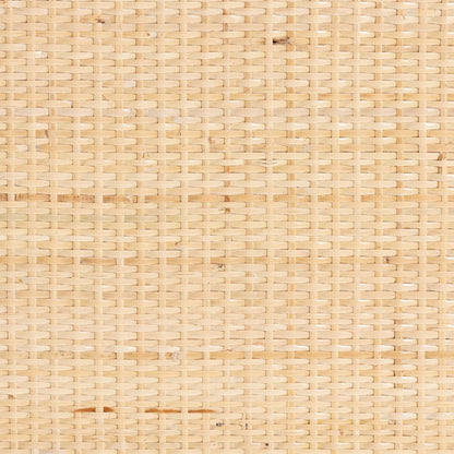 bali & pari - Acelin Storage Cabinet in Natural - WS016-Large/Double Version-Natural-Rattan-Cabinet view 7