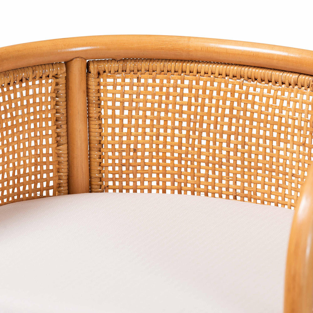 bali & pari - Aria Counter Stool in Light Honey - Ania-Light Honey/Rattan-CS view 5
