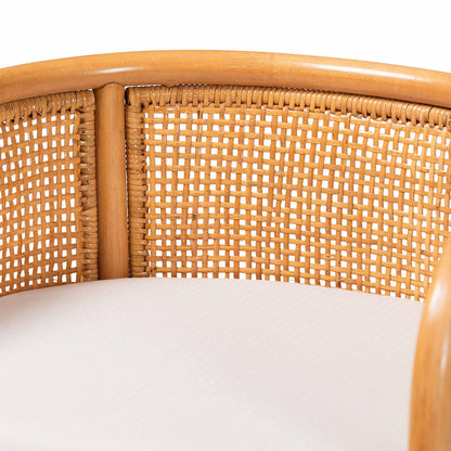 bali & pari - Aria Counter Stool in Light Honey - Ania-Light Honey/Rattan-CS view 5
