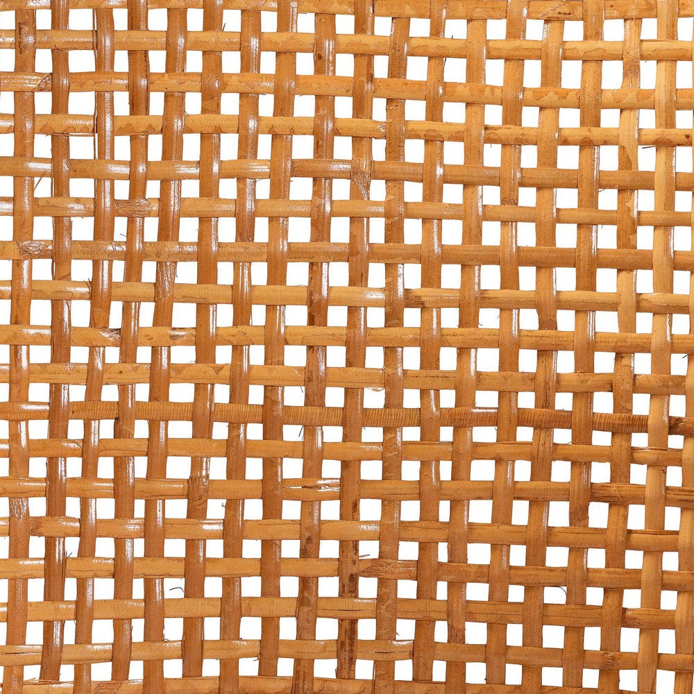 bali & pari - Aria Counter Stool in Light Honey - Ania-Light Honey/Rattan-CS view 7