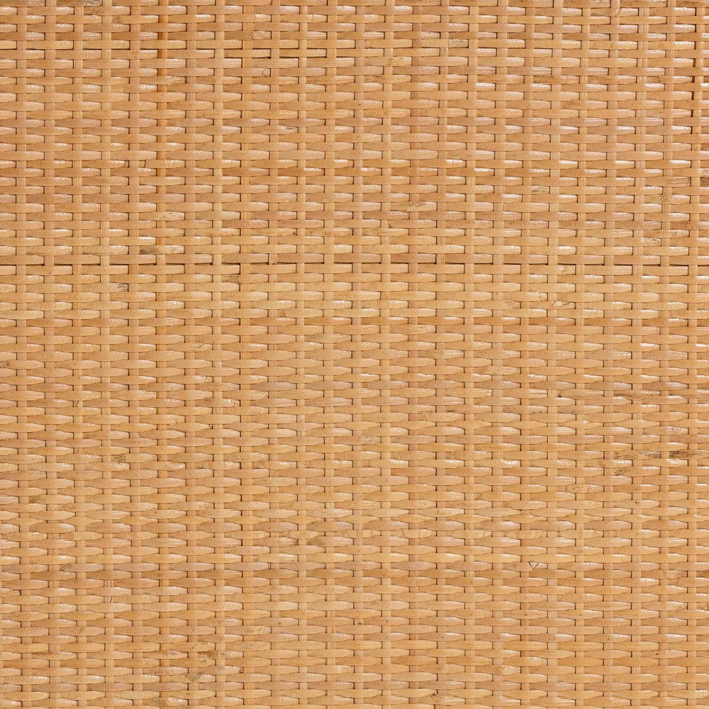 bali & pari - Baylor Storage Cabinet in Light Honey - TORAJA-Light Honey Rattan-Cabinet view 8
