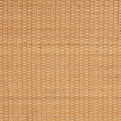 bali & pari - Baylor Storage Cabinet in Light Honey - TORAJA-Light Honey Rattan-Cabinet view 8