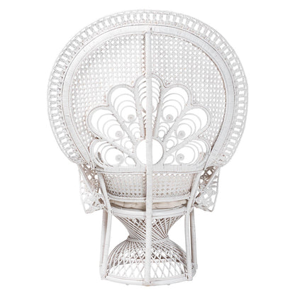 bali & pari - Ediva Chair in White/White - Peacock-001-Rattan-White-AC view 4
