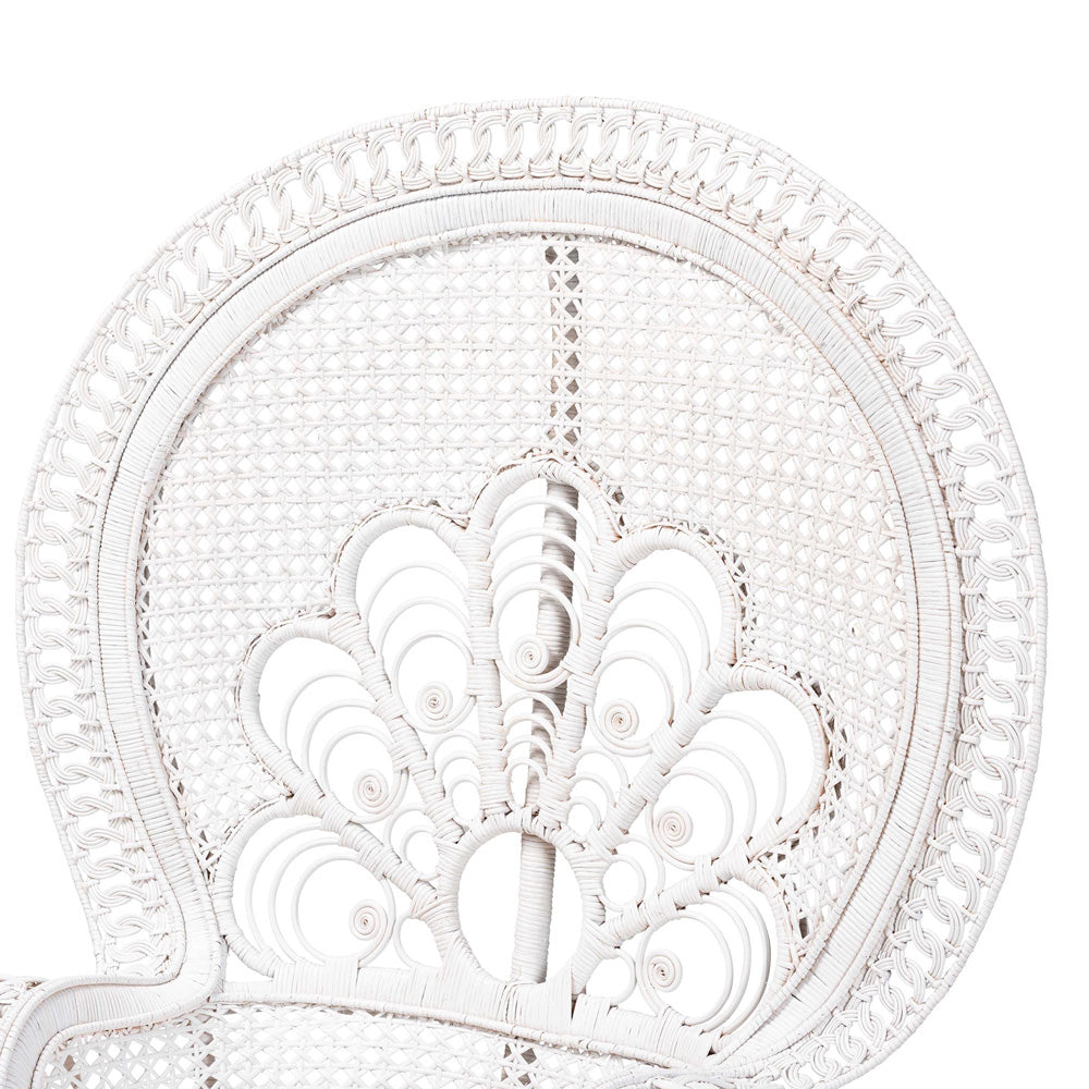 bali & pari - Ediva Chair in White/White - Peacock-001-Rattan-White-AC view 5