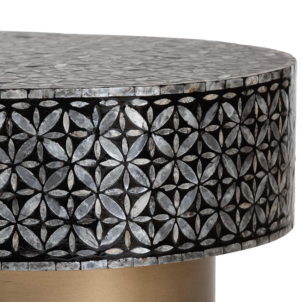 bali & pari - EmeryCoffee Table in Black/Gold - F2508-FT2-Capiz-CT view 4
