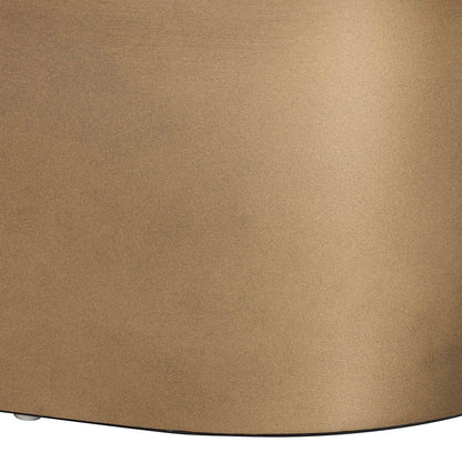 bali & pari - EmeryCoffee Table in Black/Gold - F2508-FT2-Capiz-CT view 5