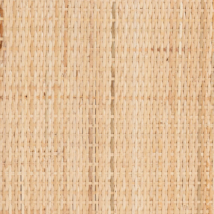bali & pari - Gitano Storage Cabinet in Natural - WS085-B-Natural Rattan-Cabinet view 7