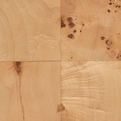 bali & pari - Latika Storage Cabinet in Mappa Burl - SVN-789-Natural Burl-Blopy-Cabinet view 7