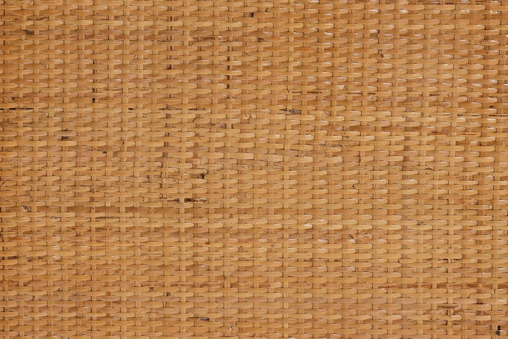 bali & pari - Mairen Storage Cabinet in Light Honey - Mairen-Light Honey Rattan-Cabinet view 9