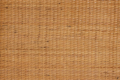 bali & pari - Mairen Storage Cabinet in Light Honey - Mairen-Light Honey Rattan-Cabinet view 9