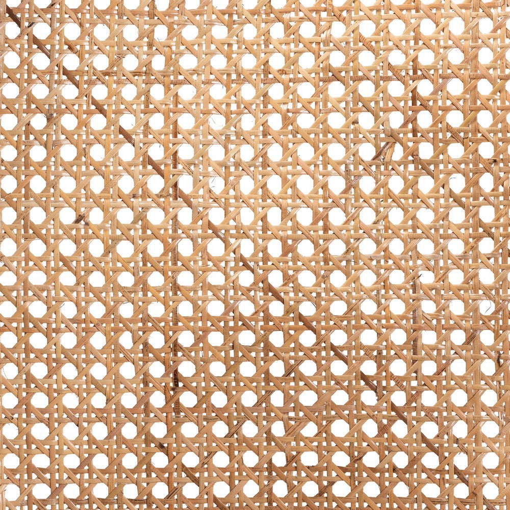 bali & pari - Palesa Dining Chair in Black/Natural Brown - WS032-Black-Rattan-DC view 7