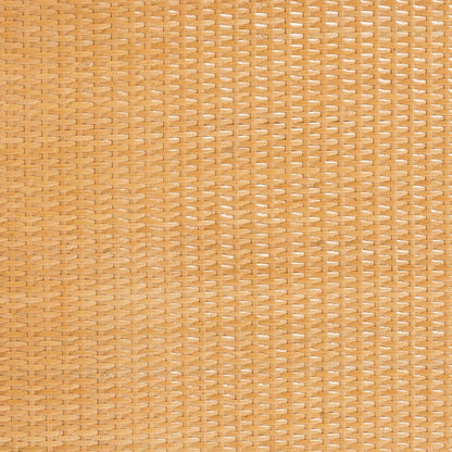 bali & pari - Radenza Storage Cabinet in Light Honey - RADENZA-Light Honey Rattan-Cabinet view 8
