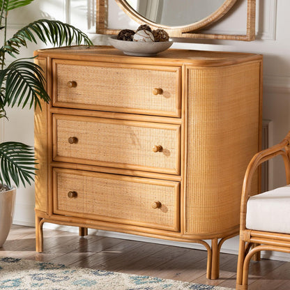 bali & pari - Radenza Storage Cabinet in Light Honey - RADENZA-Light Honey Rattan-Cabinet view 9