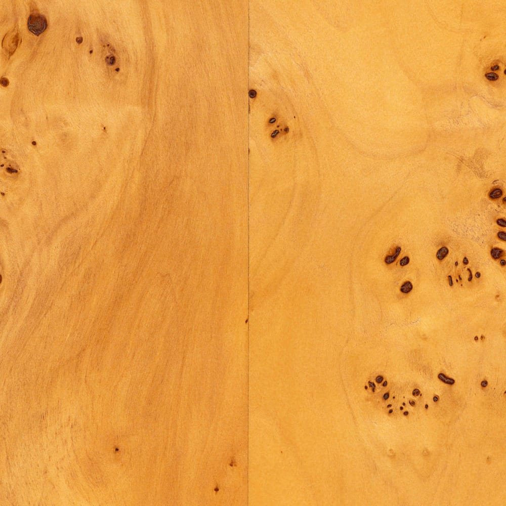 bali & pari - Revelle Console Table in Light Mappa Burl - SVN-14-Natural Burl Op1-Console Table view 5