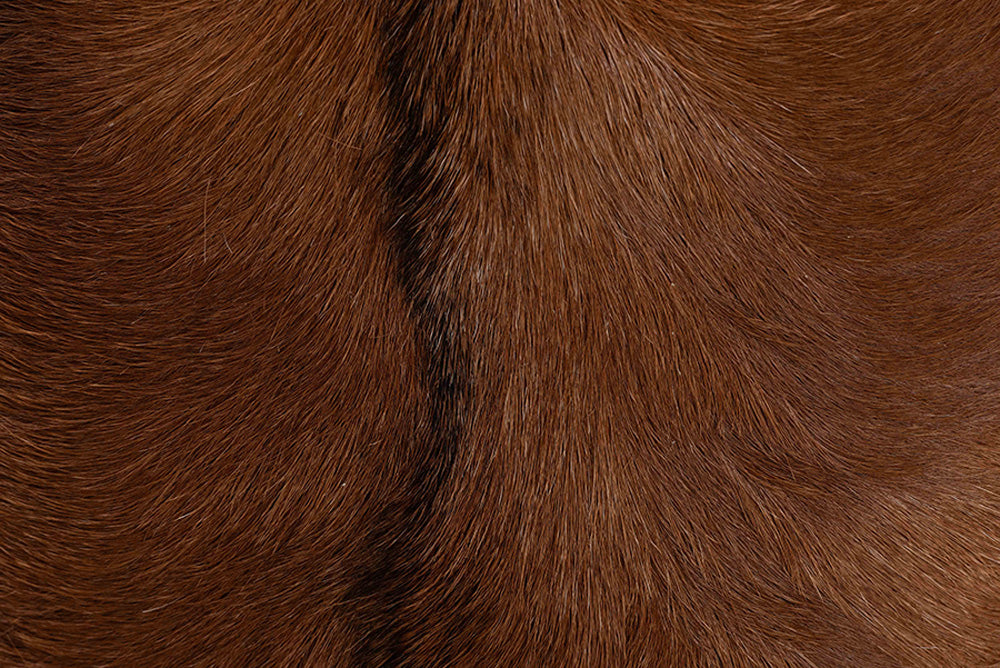 bali & pari - Rivera Counter Stool - CGL-01-Goat Leather-CS view 6