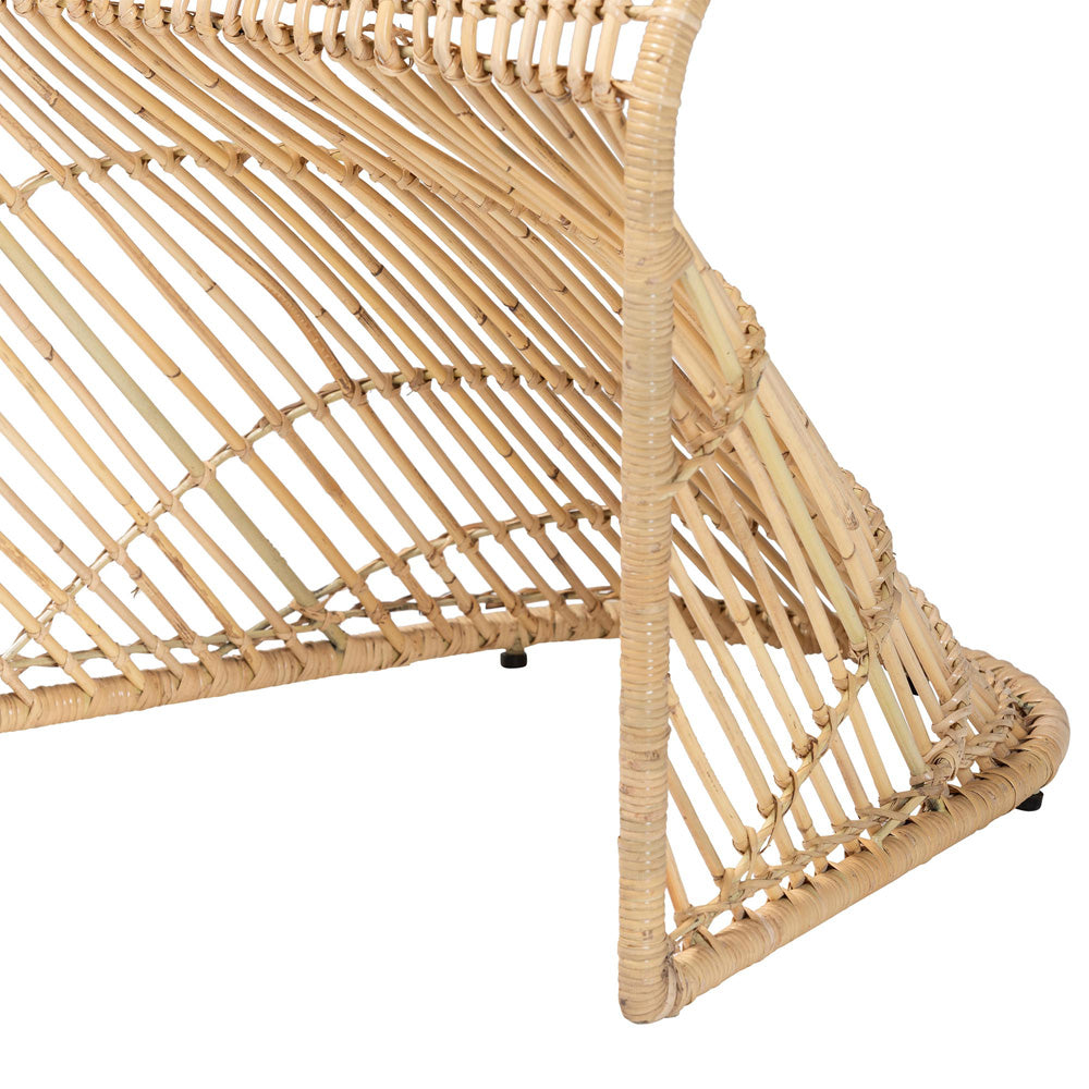 bali & pari - Rosalba Set of 2 Dining Chairs in Light Honey - S-Curve Decor-Light Honey Rattan-DC view 5