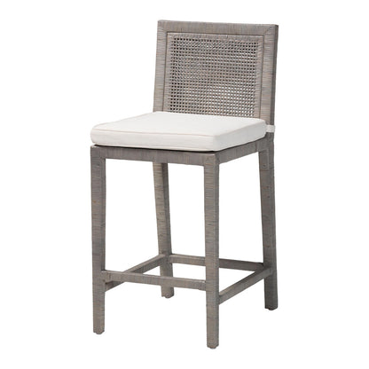 bali & pari - Sofia Counter Stool in French Grey - Sofia-French Grey-CS view 1