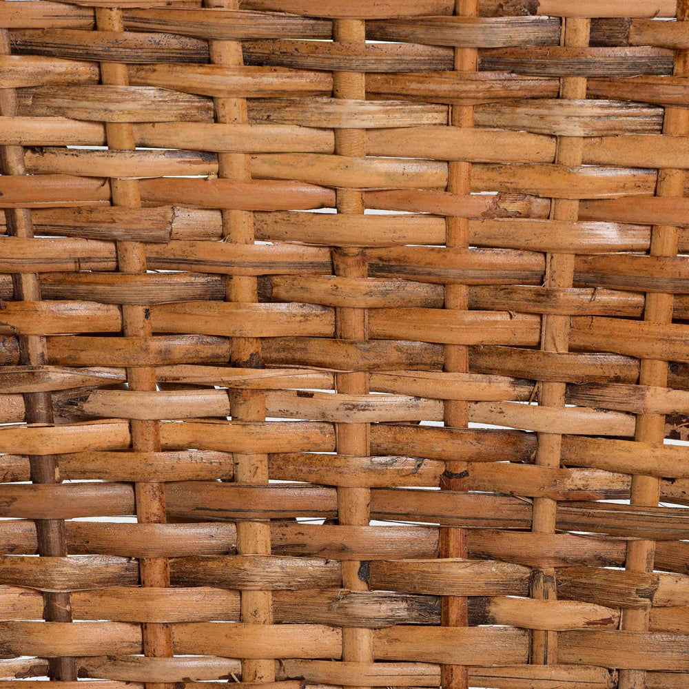 bali & pari  - Tara Set of 2 Dining Chairs in Natural Brown - Tara-Brown Rattan/Natural-DC view 6