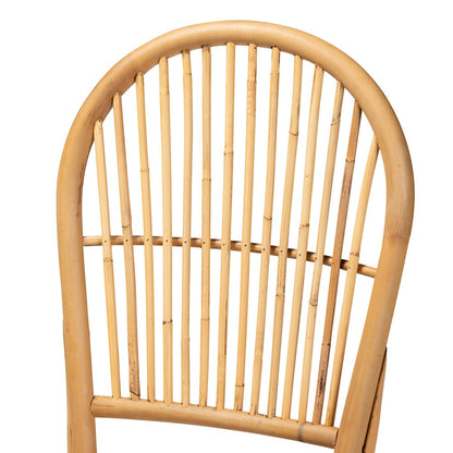 bali & pari - Wina Set of 2 Dining Chairs in Natural Brown - Wina-Rattan-DC view 4