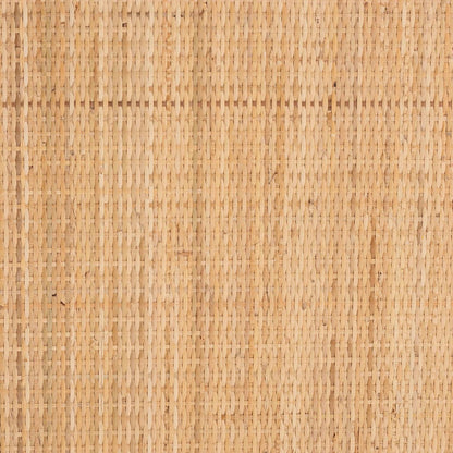 bali & pari - Yanka Storage Cabinet in Natural - WS 017-Natural Rattan-Large-Cabinet view 7