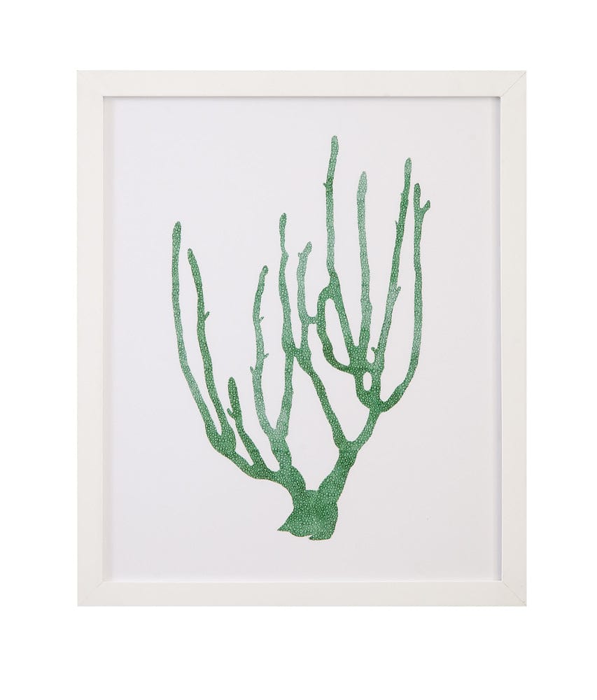 Bassett Mirror - Coral Souvenirs II Framed Print in Green - 9902-276B view 1