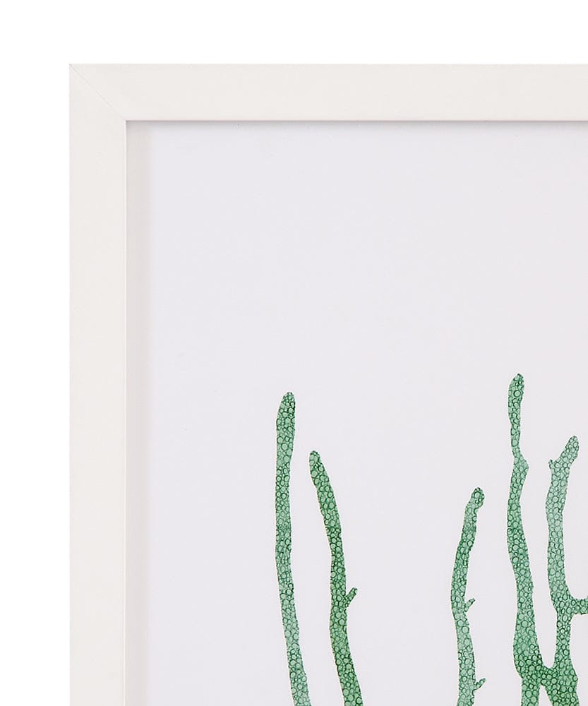 Bassett Mirror - Coral Souvenirs II Framed Print in Green - 9902-276B view 2