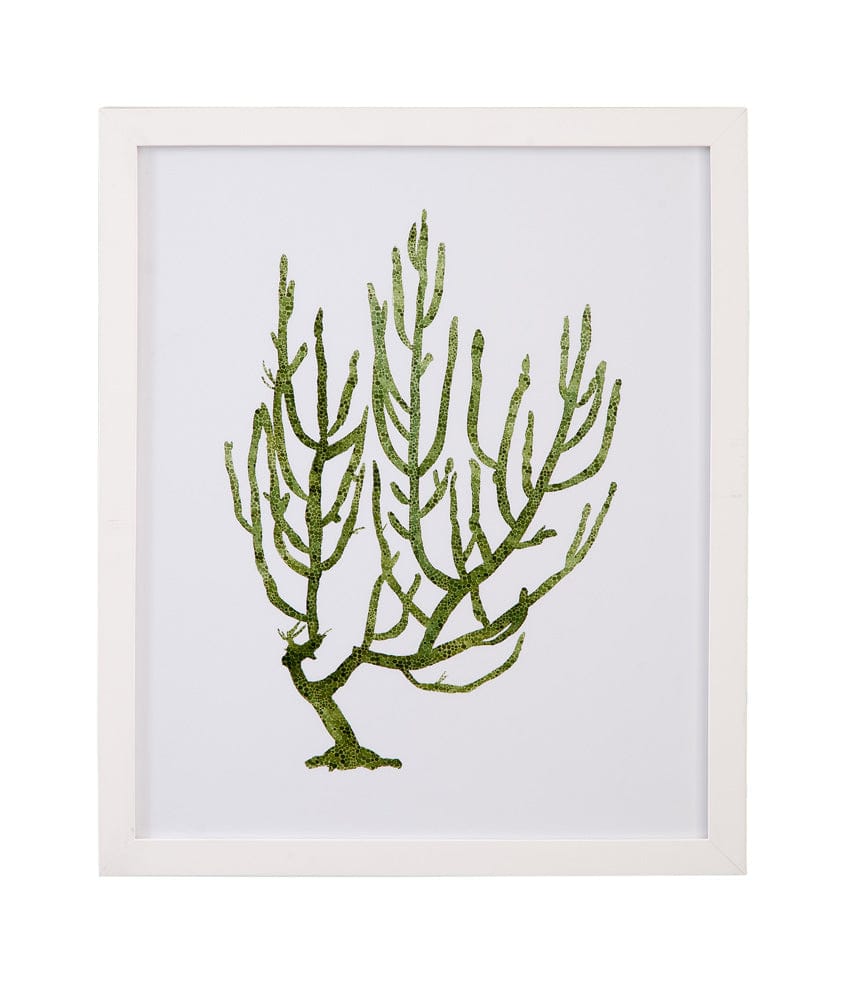 Bassett Mirror - Coral Souvenirs III Framed Print in Green - 9902-276C view 1