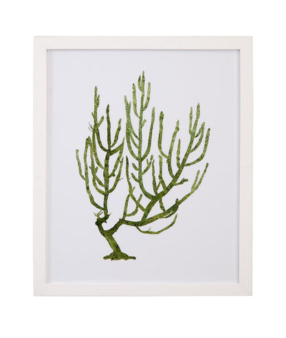 Bassett Mirror - Coral Souvenirs III Framed Print in Green - 9902-276C view 1