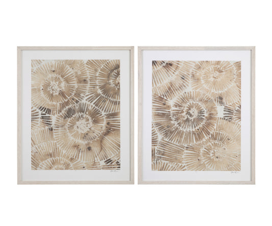 Bassett Mirror - Fossil Nautilus Framed Print Set of 2 in Brown - 9902-280-000 view 1