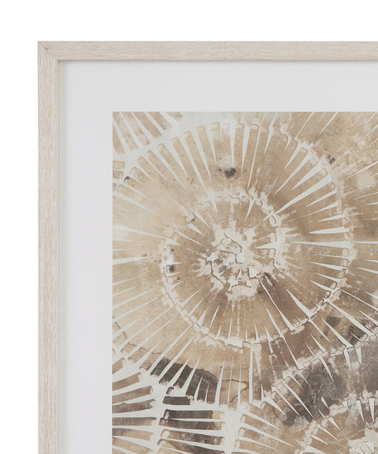 Bassett Mirror - Fossil Nautilus Framed Print Set of 2 in Brown - 9902-280-000 view 2