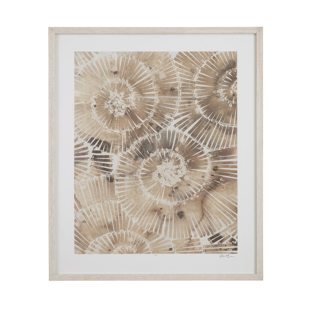 Bassett Mirror - Fossil Nautilus I Framed Print in Brown - 9902-280A view 1