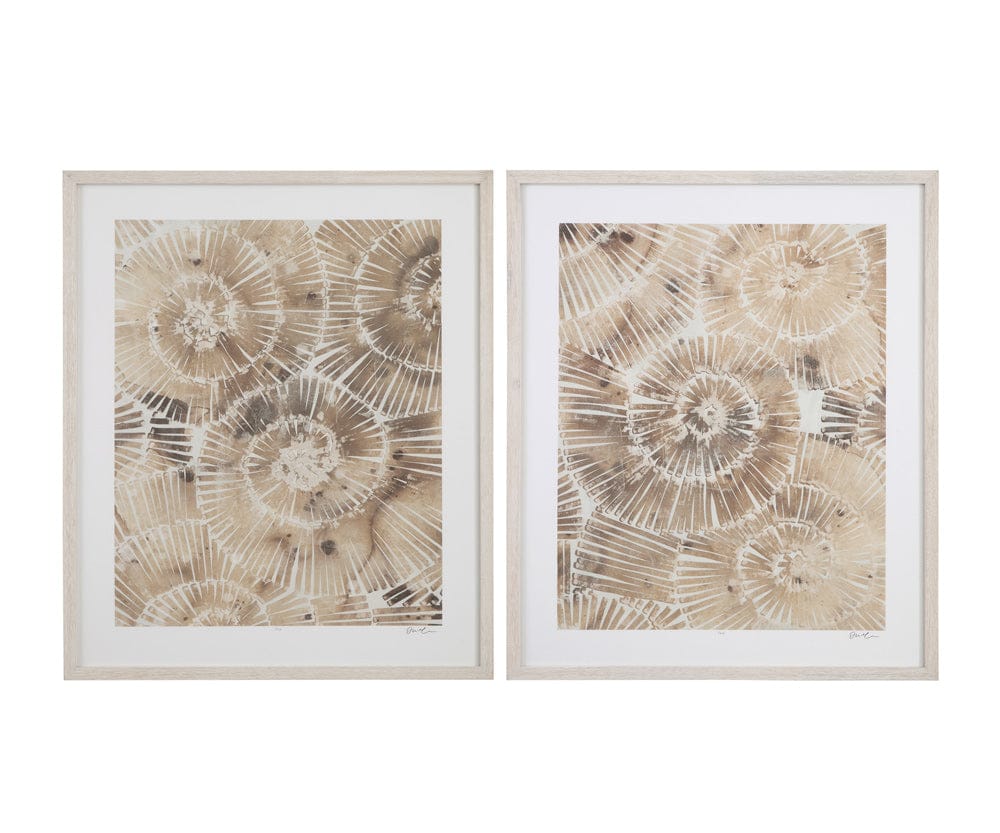 Bassett Mirror - Fossil Nautilus I Framed Print in Brown - 9902-280A view 3