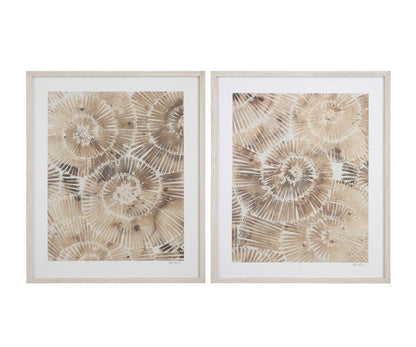 Bassett Mirror - Fossil Nautilus I Framed Print in Brown - 9902-280A view 3