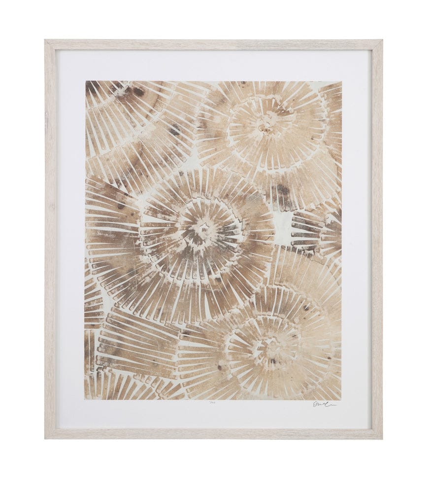 Bassett Mirror - Fossil Nautilus II Framed Print in Brown - 9902-280B view 1