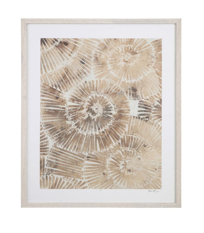 Bassett Mirror - Fossil Nautilus II Framed Print in Brown - 9902-280B view 1