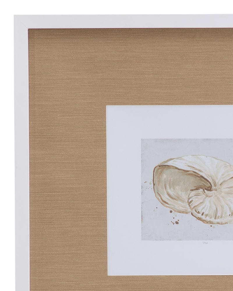 Bassett Mirror - Neutral Shell Fresco I Framed Print in Matte White Frame - 9902-246A view 2