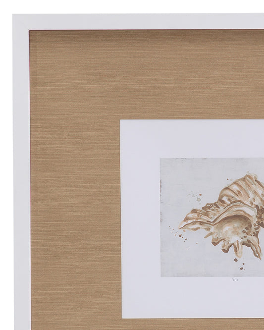 Bassett Mirror - Neutral Shell Fresco III Framed Print in Matte White Frame - 9902-246C view 2