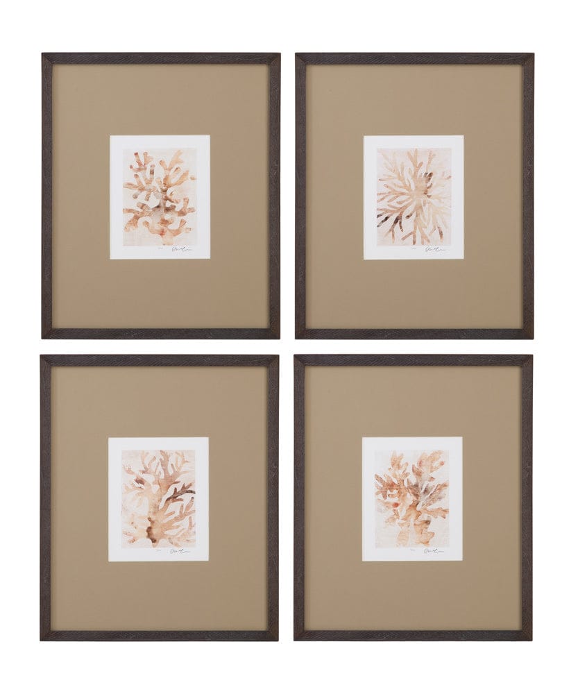 Bassett Mirror - Parchment Coral Framed Print Set of 4 in Brown - 9902-275-000 view 1